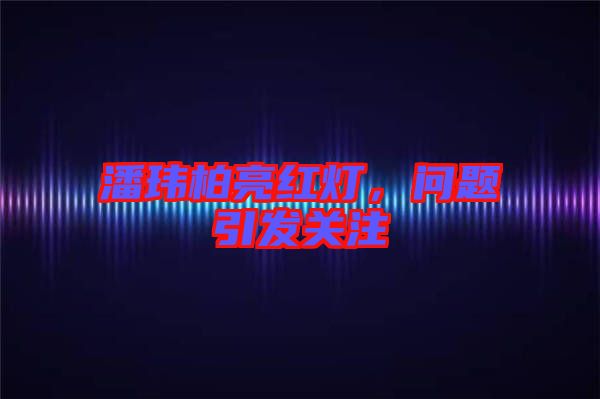 潘瑋柏亮紅燈，問題引發關注