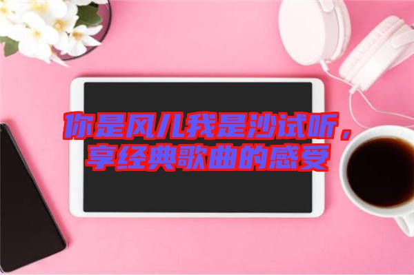 你是風兒我是沙試聽，享經典歌曲的感受