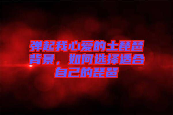 彈起我心愛的土琵琶背景，如何選擇適合自己的琵琶