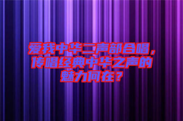 愛我中華二聲部合唱，傳唱經典中華之聲的魅力何在？