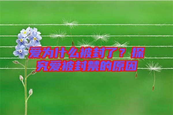 愛為什么被封了？探究愛被封禁的原因