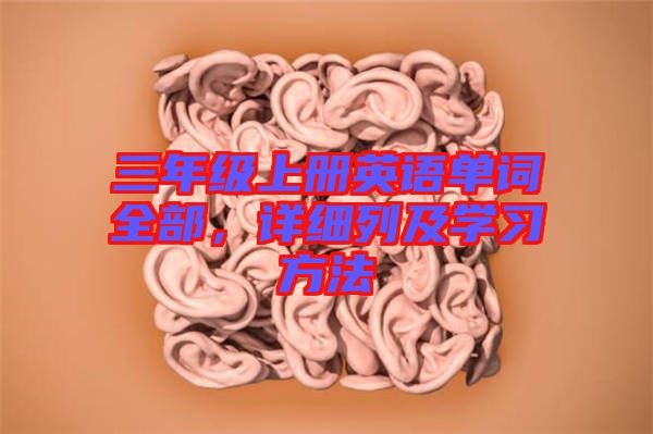 三年級上冊英語單詞全部，詳細列及學習方法