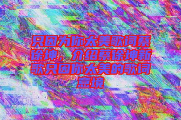 只因?yàn)槟闾栏柙~蔡徐坤，介紹蔡徐坤新歌只因你太美的歌詞意境