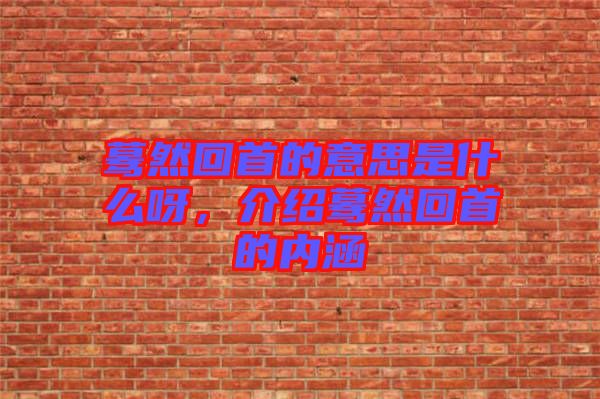 驀然回首的意思是什么呀，介紹驀然回首的內涵