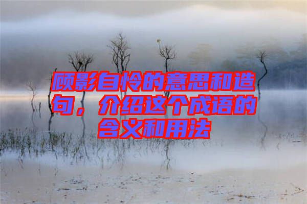 顧影自憐的意思和造句，介紹這個成語的含義和用法
