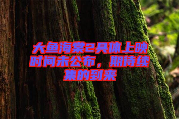 大魚海棠2具體上映時(shí)間未公布，期待續(xù)集的到來(lái)