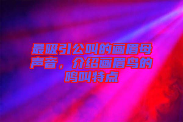 最吸引公叫的畫眉母聲音，介紹畫眉鳥的鳴叫特點