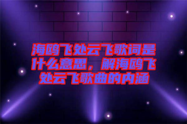 海鷗飛處云飛歌詞是什么意思，解海鷗飛處云飛歌曲的內(nèi)涵