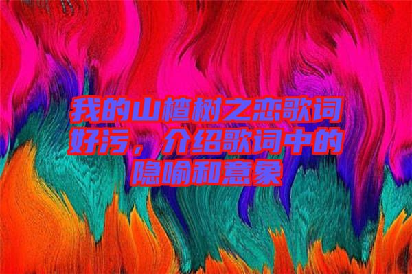 我的山楂樹之戀歌詞好污，介紹歌詞中的隱喻和意象