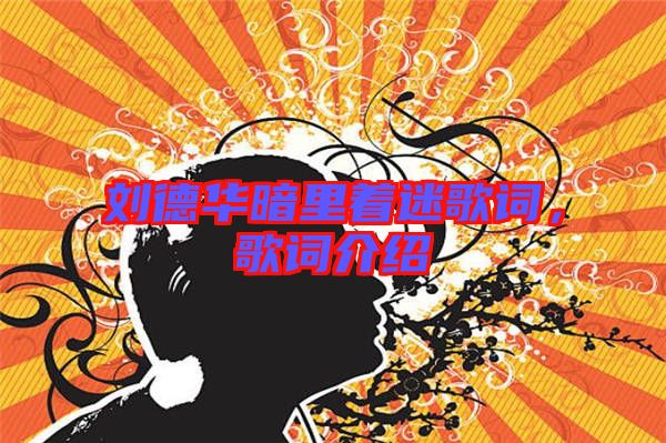 劉德華暗里著迷歌詞，歌詞介紹