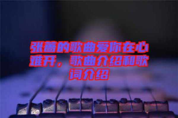 張薔的歌曲愛(ài)你在心難開(kāi)，歌曲介紹和歌詞介紹