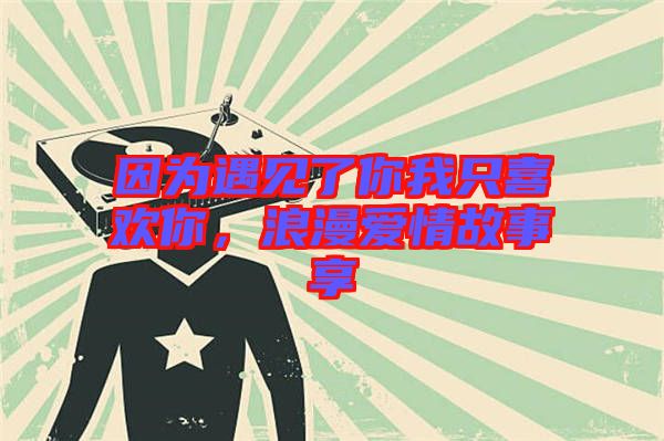因?yàn)橛鲆?jiàn)了你我只喜歡你，浪漫愛(ài)情故事享