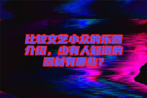 比較文藝小眾的樂器介紹，少有人知道的器材有哪些？