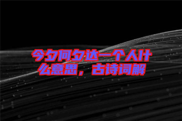 今夕何夕達(dá)一個(gè)人什么意思，古詩詞解