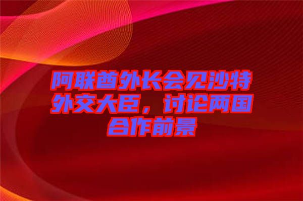 阿聯酋外長會見沙特外交大臣，討論兩國合作前景