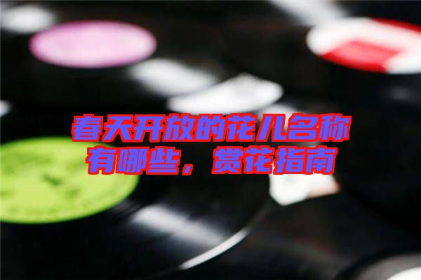 春天開放的花兒名稱有哪些，賞花指南