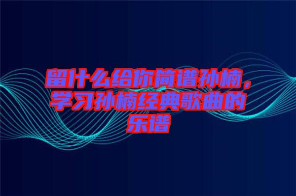 留什么給你簡(jiǎn)譜孫楠，學(xué)習(xí)孫楠經(jīng)典歌曲的樂譜
