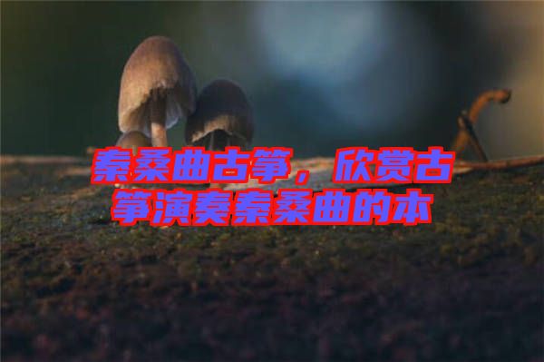 秦桑曲古箏，欣賞古箏演奏秦桑曲的本