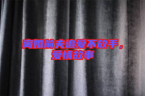 離婚前夫追愛不放手，愛情故事