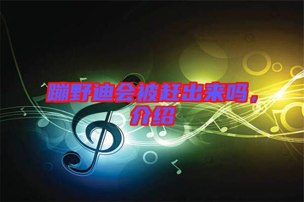 蹦野迪會被趕出來嗎，介紹