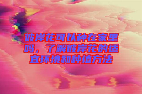 彼岸花可以種在家里嗎，了解彼岸花的適宜環境和種植方法