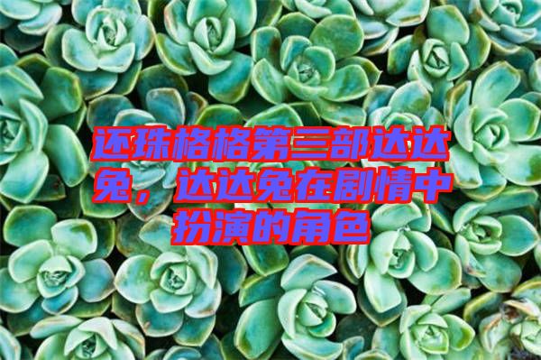 還珠格格第三部達達兔，達達兔在劇情中扮演的角色