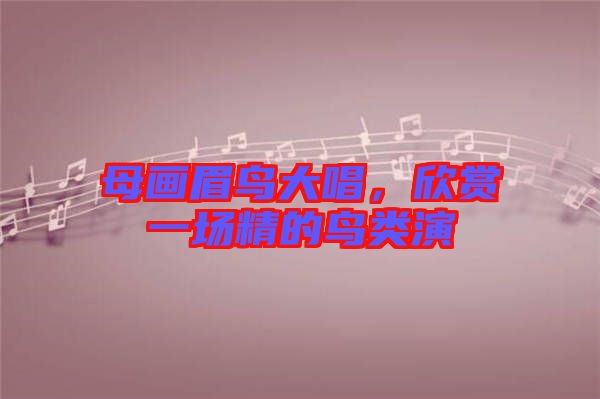母畫眉鳥大唱，欣賞一場精的鳥類演