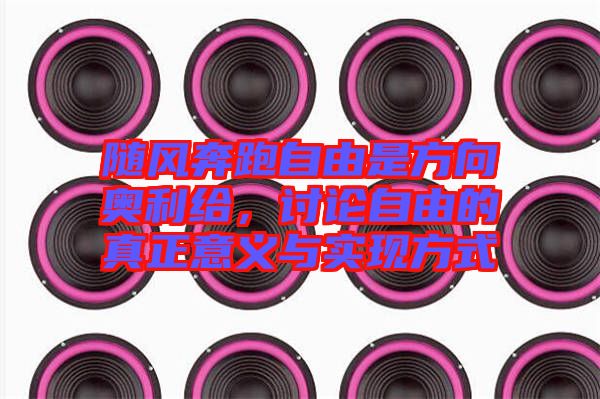 隨風(fēng)奔跑自由是方向奧利給，討論自由的真正意義與實(shí)現(xiàn)方式