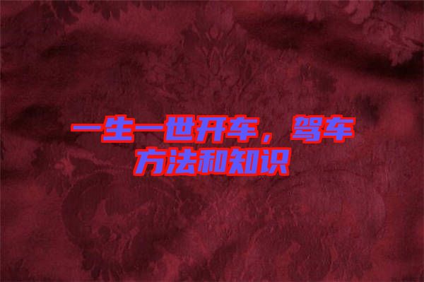 一生一世開車，駕車方法和知識