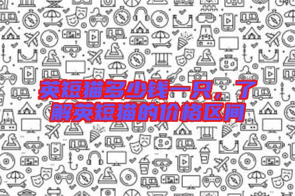 英短貓多少錢一只，了解英短貓的價格區間