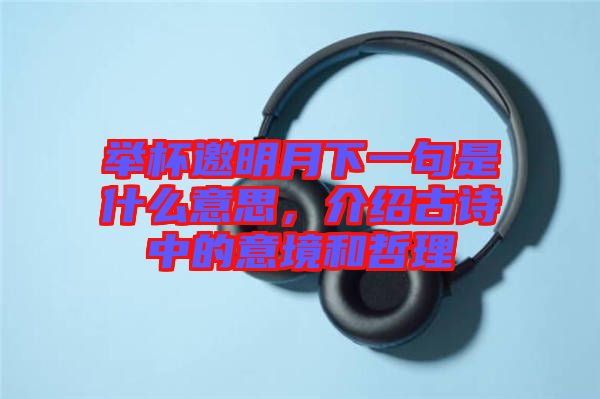 舉杯邀明月下一句是什么意思，介紹古詩中的意境和哲理