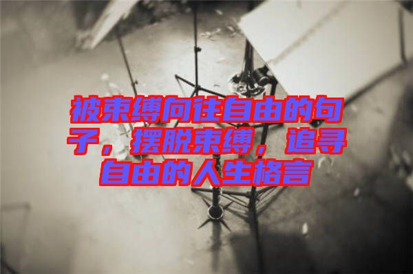 被束縛向往自由的句子，擺脫束縛，追尋自由的人生格言