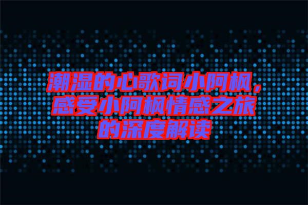 潮濕的心歌詞小阿楓，感受小阿楓情感之旅的深度解讀