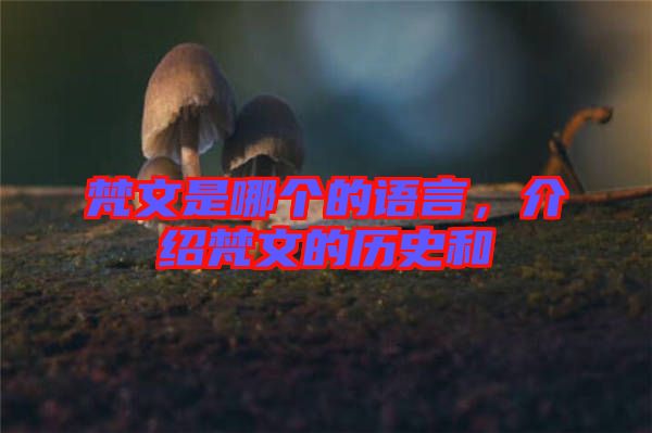梵文是哪個的語言，介紹梵文的歷史和