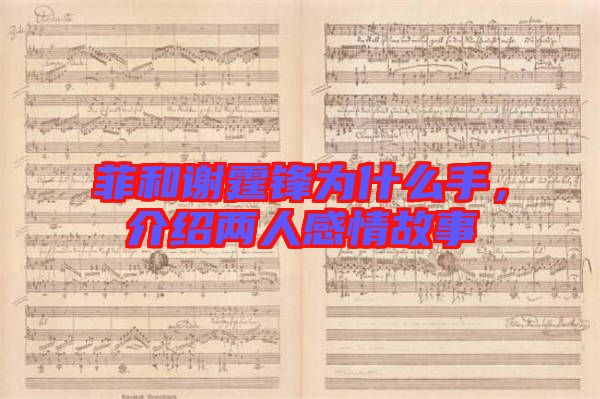 菲和謝霆鋒為什么手，介紹兩人感情故事