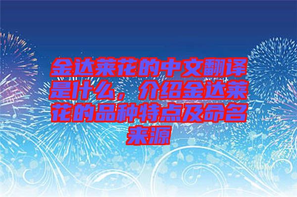 金達(dá)萊花的中文翻譯是什么，介紹金達(dá)萊花的品種特點(diǎn)及命名來源