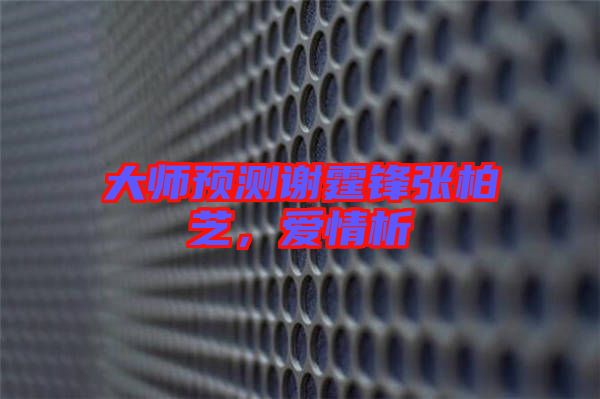 大師預測謝霆鋒張柏芝，愛情析