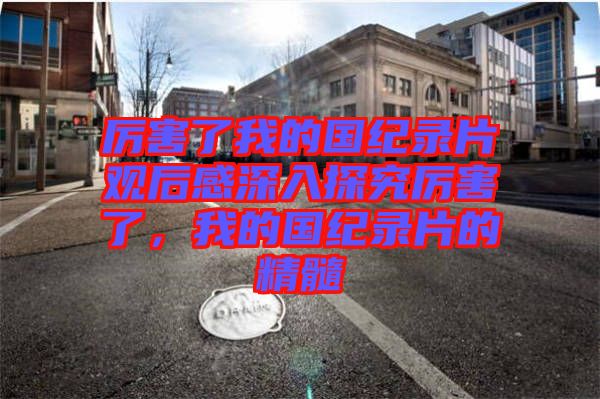 厲害了我的國紀錄片觀后感深入探究厲害了，我的國紀錄片的精髓