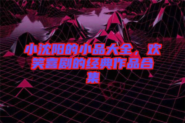 小沈陽的小品大全，歡笑喜劇的經典作品合集