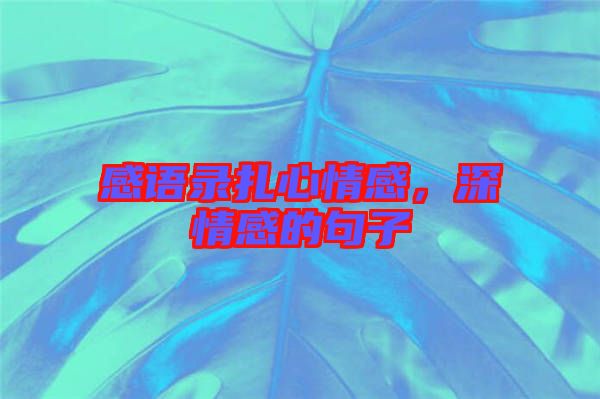 感語錄扎心情感，深情感的句子
