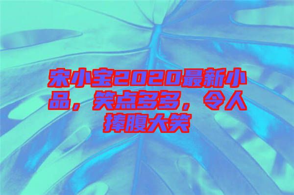 宋小寶2020最新小品，笑點多多，令人捧腹大笑
