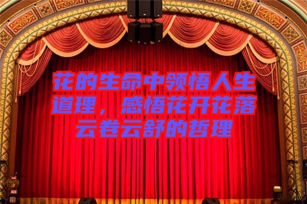 花的生命中領(lǐng)悟人生道理，感悟花開花落云卷云舒的哲理