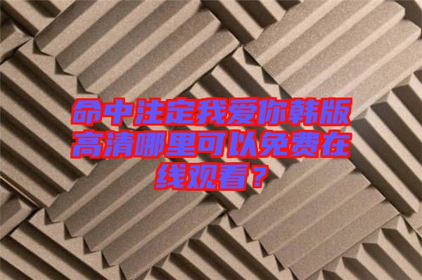 命中注定我愛(ài)你韓版高清哪里可以免費(fèi)在線觀看？