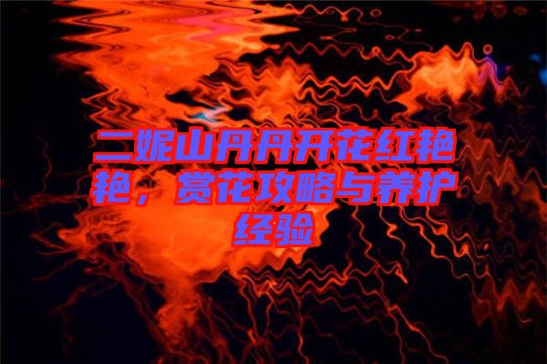 二妮山丹丹開花紅艷艷，賞花攻略與養護經驗