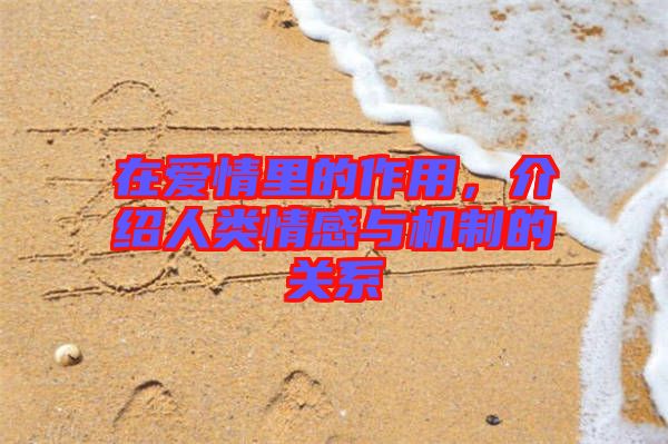 在愛情里的作用，介紹人類情感與機(jī)制的關(guān)系
