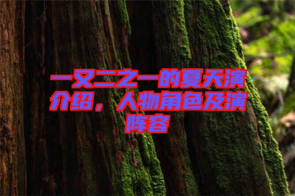 一又二之一的夏天演介紹，人物角色及演陣容