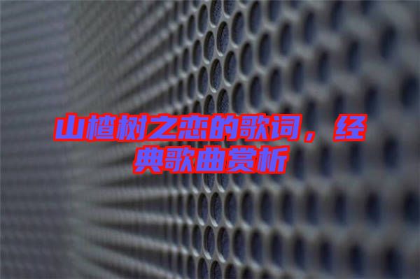 山楂樹之戀的歌詞，經典歌曲賞析