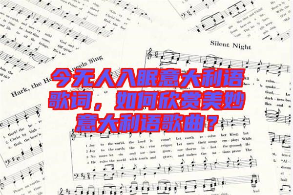今無人入眠意大利語歌詞，如何欣賞美妙意大利語歌曲？