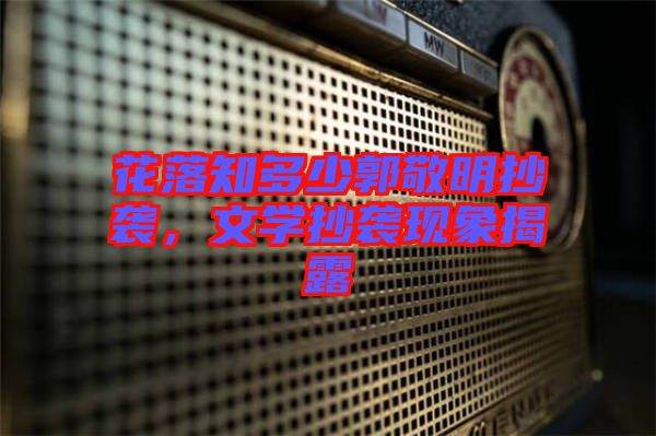 花落知多少郭敬明抄襲，文學抄襲現象揭露