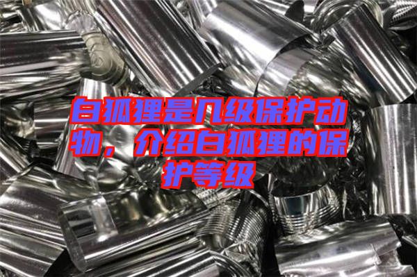 白狐貍是幾級保護(hù)動(dòng)物，介紹白狐貍的保護(hù)等級